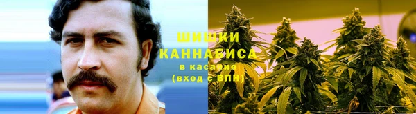 mix Мегион