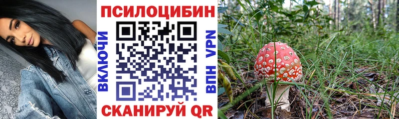Галлюциногенные грибы MAGIC MUSHROOMS  где купить наркоту  Шахунья 